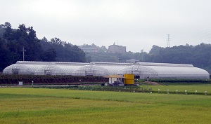 Solarig greenhouse covers